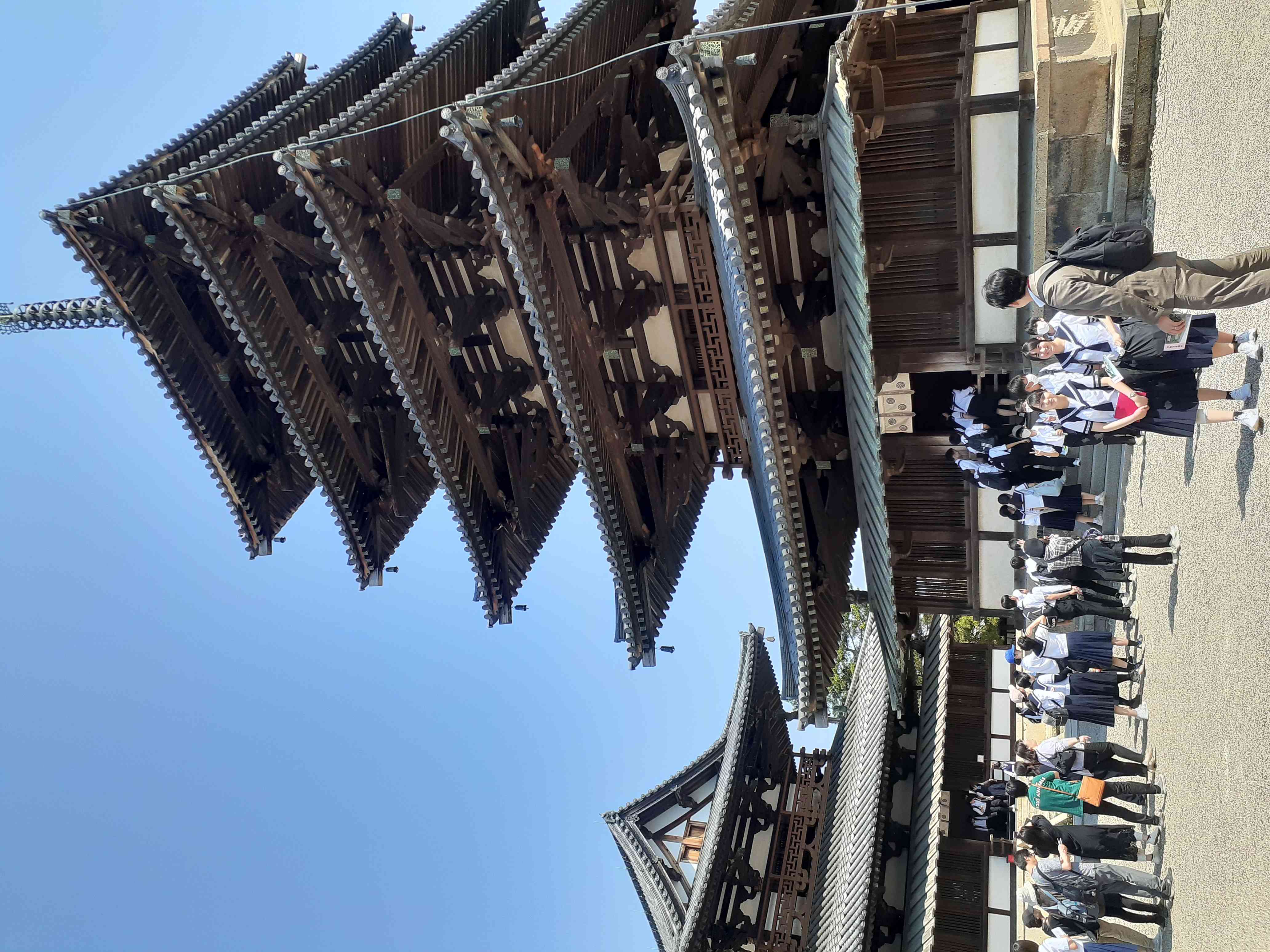 修学旅行5月14日（2）